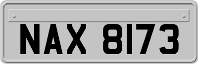 NAX8173