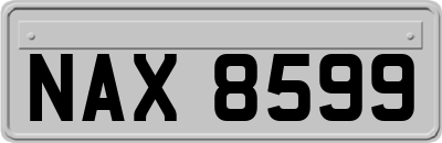 NAX8599