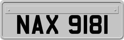 NAX9181