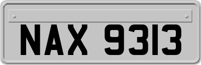 NAX9313