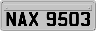 NAX9503