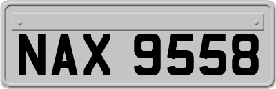 NAX9558