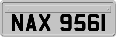 NAX9561