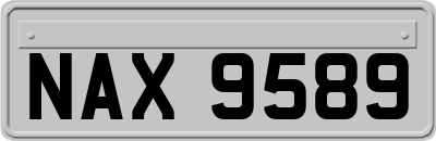 NAX9589