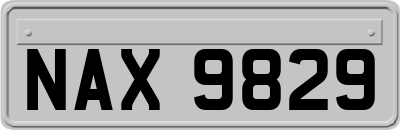 NAX9829