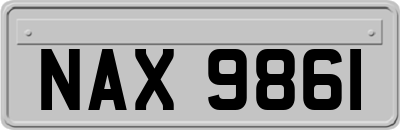 NAX9861