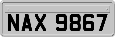 NAX9867