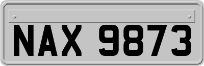 NAX9873