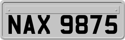 NAX9875