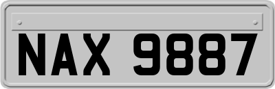 NAX9887