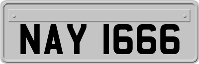 NAY1666