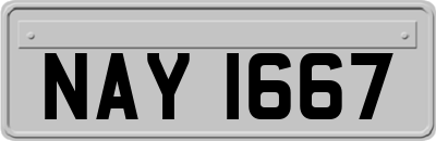 NAY1667