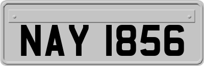 NAY1856