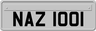 NAZ1001