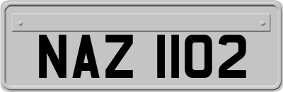 NAZ1102