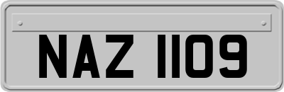 NAZ1109