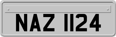 NAZ1124