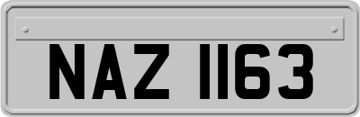 NAZ1163