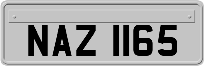 NAZ1165