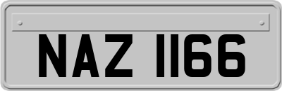 NAZ1166