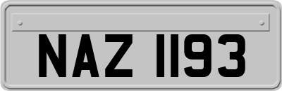 NAZ1193