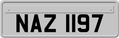 NAZ1197