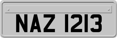 NAZ1213