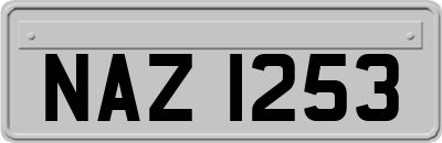 NAZ1253