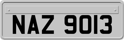 NAZ9013