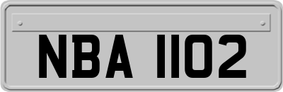 NBA1102