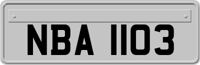 NBA1103