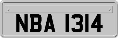 NBA1314