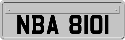 NBA8101