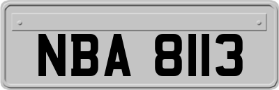 NBA8113