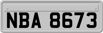 NBA8673