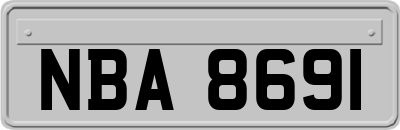 NBA8691