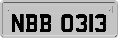 NBB0313