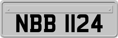 NBB1124