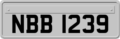 NBB1239