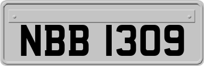 NBB1309