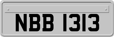 NBB1313