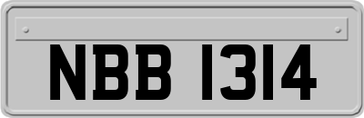 NBB1314