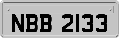 NBB2133