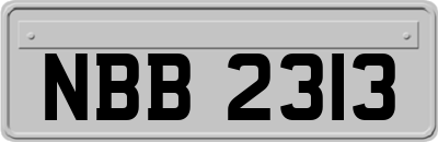 NBB2313