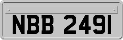 NBB2491