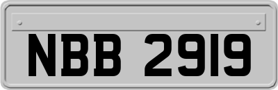 NBB2919