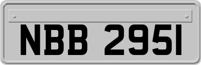 NBB2951