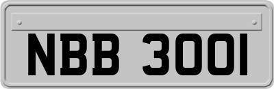 NBB3001