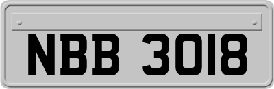 NBB3018