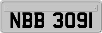 NBB3091